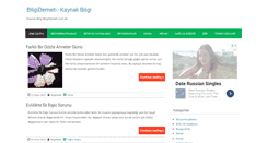 Desktop Screenshot of bilgidemeti.com